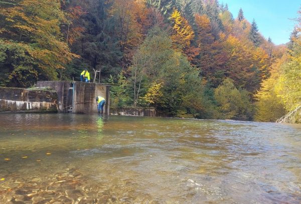 Toamna aduce noi provocări cotidiene și activități suplimentare pentru angajații Apa Serv Valea Jiului