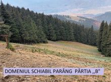 Acțiune de ecologizare a pârtiei de schi B organizată de voluntarii ”Pro-Parâng”