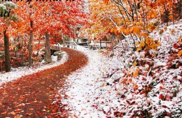 Zbuciumul Toamnei / Acrostih de Mirela Cocheci