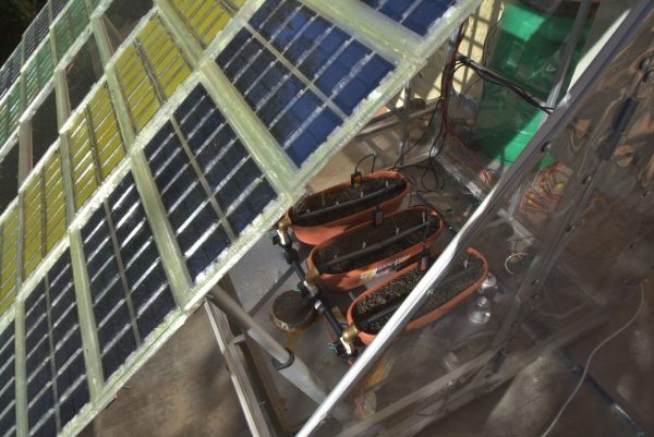 Sera inteligentă, noi pași spre agricultura 4.0, în cadrul proiectului ”Getica”, o noutate pe plan mondial