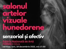 Salonul artelor vizuale hunedorene ”Senzorial și afectiv” își deschide porțile la Galeria Națională de Artă ”Forma” din Deva