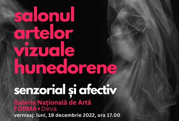 Salonul artelor vizuale hunedorene ”Senzorial și afectiv” își deschide porțile la Galeria Națională de Artă ”Forma” din Deva