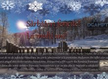 Mesaj de sărbători / DGAMPT Hunedoara