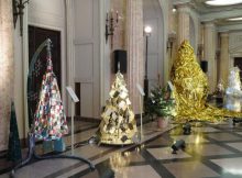 Festivalul Brazilor de Crăciun asigură accesul la școală pentru copiii vulnerabilizați  de sărăcie și război