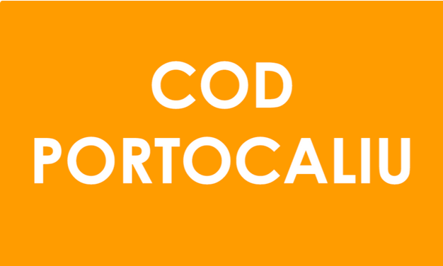 Avertisment ISU: E pericol de inundații pe Jiu și Crișul Alb