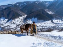 Povești ciobănești cu nea Bucur, la stâna de iarnă din Râu Sadului