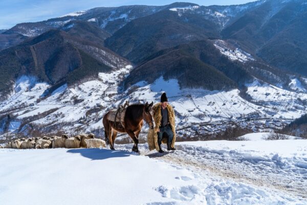 Povești ciobănești cu nea Bucur, la stâna de iarnă din Râu Sadului