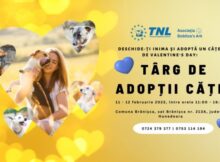 Târg de adopții canine organizat de tinerii liberali hunedoreni, la Brănișca