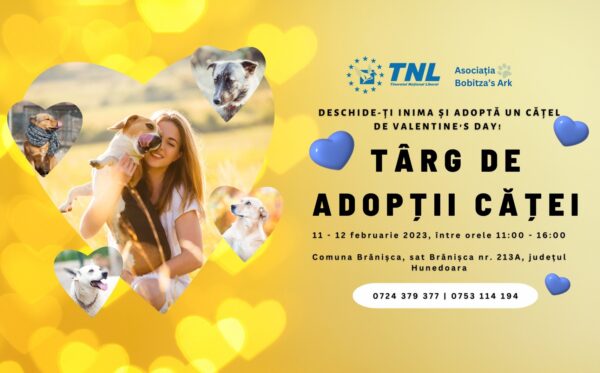 Târg de adopții canine organizat de tinerii liberali hunedoreni, la Brănișca