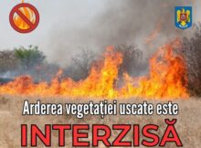 Patrule mixte pentru sancționarea celor care ard vegetația uscată