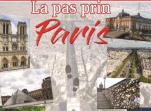 Biblioteca județeană ”Ovid Densușianu” vă invită ”La pas prin Paris” de Ziua Internațională a Francofoniei
