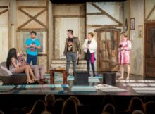 Reprezentațiile lunii aprilie la Teatrul Național ”Radu Stanca” din Sibiu