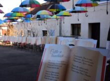 Ziua Internațională a Poeziei va fi sărbătorită la Biblioteca județeană ”Ovid Densușianu” din Deva