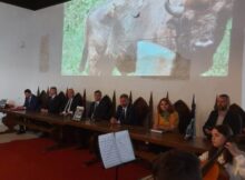 Lecție de patriotism local și de promovare a județului Hunedoara predată ca la carte de Vasile-Cosmin Nicula