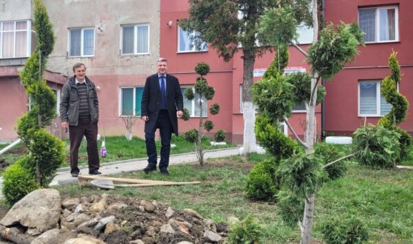 “Mai mulți copaci, mai mult verde” la Lupeni