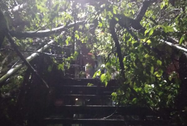 Efectele furtunilor din noaptea de 21/22 iulie 2023