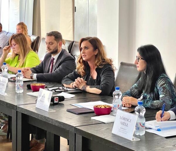 ”Strategia Națională de Tineret 2023 – 2027” prezentată de ministrul Natalia Intotero la Deva