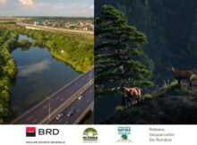 Parteneriat pentru dezvoltare durabilă și conservare a naturii în România