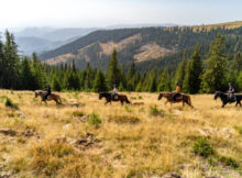 Western de Valea Jiului cu Călin Popa. ”Carpathian Horse Trekking” – o afacere inedită în munții Văii Jiului