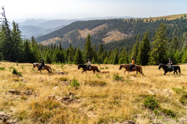 Western de Valea Jiului cu Călin Popa. ”Carpathian Horse Trekking” – o afacere inedită în munții Văii Jiului