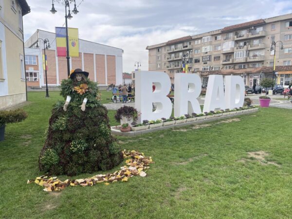 Decorațiuni de toamnă în centrul municipiului Brad