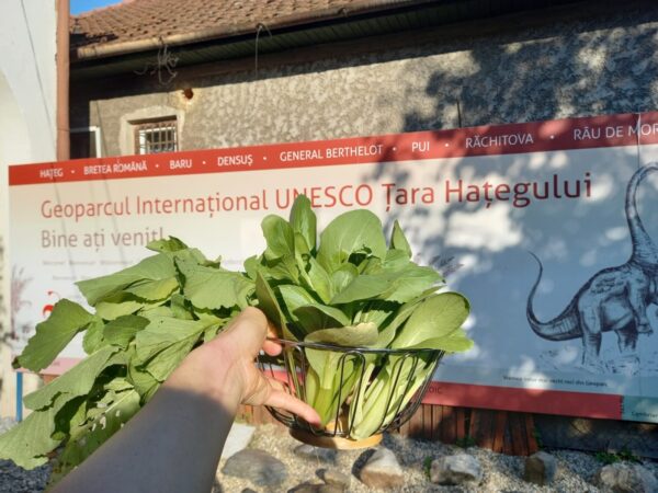 Poveștile Geoparcului Țara Hațegului sunt completate cu o experiență legată de permacultură în ”DinoGarden”