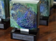 Nominalizări la Premiul Mentor pentru excelență în educație 2023