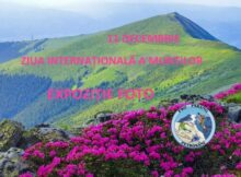 Sărbătoare la Muzeul Muntelui în cinstea Zilei Internaționale a Muntelui