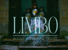 Plastic Art Performance Collective continuă ECO-colindul voluntarilor Asociației Macaia