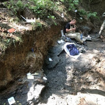 Fosile de dinozaur unice în lume descoperite în Geoparcul Țara Hațegului