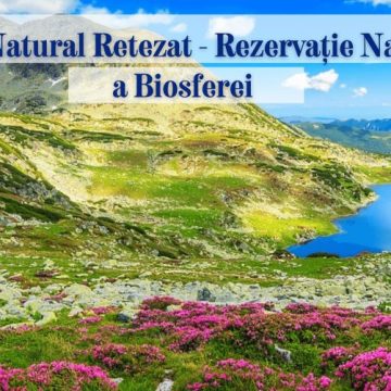 Parcurile naturale, o comoară a județului Hunedoara