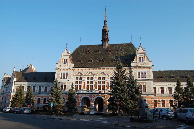 Dezbatere regională cu tema „Inițiativă pentru sănătatea femeii”, găzduită de Consiliul Județean Hunedoara