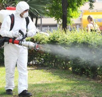 Acțiuni de deratizare și dezinsecție pe raza orașului Petrila