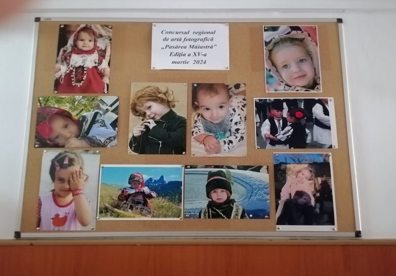 Elevi pasionați de fotografie, premiați la Petrila în concursul de artă fotografică ”Pasărea Măiastră”
