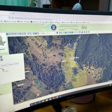 APIA a început campania de primire a cererilor de plată pentru subvențiile agricole și zootehnice aferente anului 2024