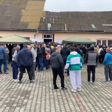 Rezultatele mini-bursei locurilor de muncă de la Hațeg