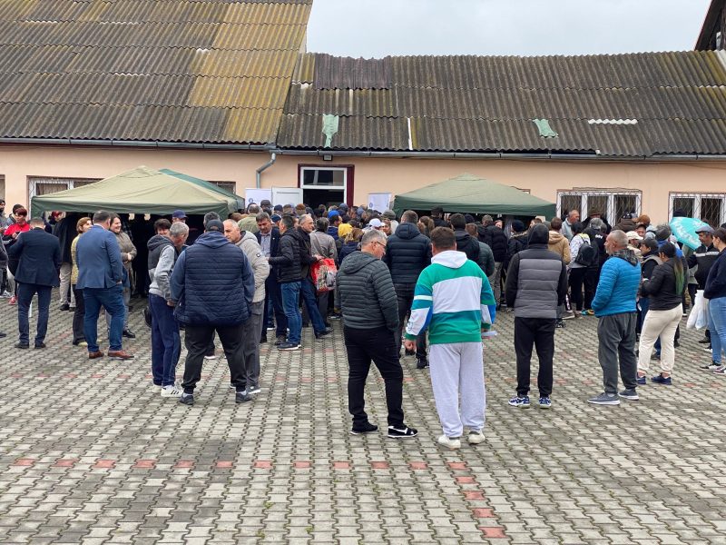 Rezultatele mini-bursei locurilor de muncă de la Hațeg
