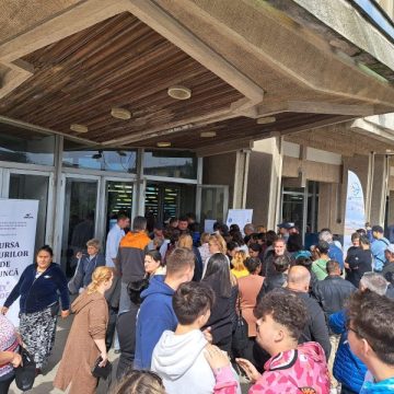 Cifrele Bursei Locurilor de Muncă în județul Hunedoara