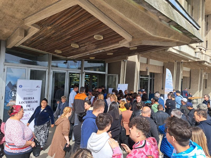 Cifrele Bursei Locurilor de Muncă în județul Hunedoara