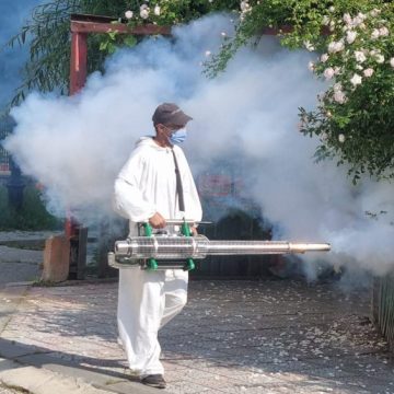 Activități de dezinsecție în municipiul Petroșani, până la finalul lunii