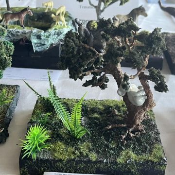 Elevii Cercului de Machete de la Clubul Copiilor Valea Jiului, între ”Trofeul AMA” de la Alba Iulia și ”Cupa Tomis” de la Constanța