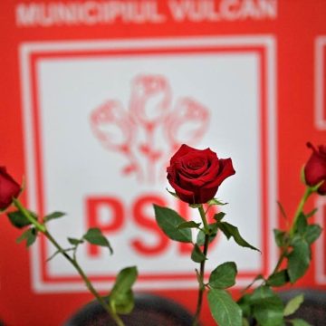 Victorie istorică pentru PSD în Valea Jiului și în județul Hunedoara, în alegerile locale