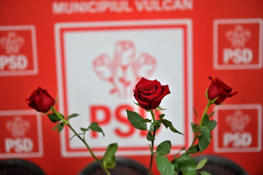 Victorie istorică pentru PSD în Valea Jiului și în județul Hunedoara, în alegerile locale