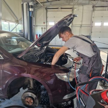 Performanță în învățământul profesional și dual hunedorean: 39 de absolvenți au fost angajați de către operatorii economici la finalizarea examenului