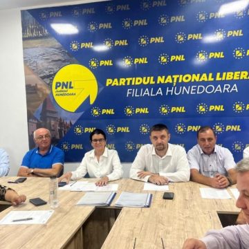 PNL Hunedoara și-a stabilit candidații pentru alegerile parlamentare