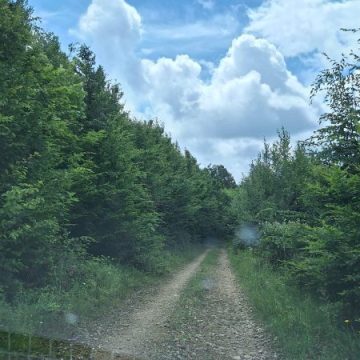 Drumul Județean 707 Vața de Jos (jud. Hunedoara) – Petriș (jud. Arad) – „Drumul Regelui” – primește fonduri europene pentru modernizare prin Programul Regional Vest 2021-2027