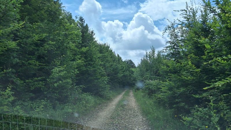 Drumul Județean 707 Vața de Jos (jud. Hunedoara) – Petriș (jud. Arad) – „Drumul Regelui” – primește fonduri europene pentru modernizare prin Programul Regional Vest 2021-2027