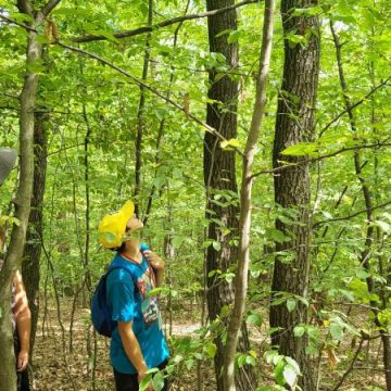 În Geoparcul Țara Hațegului, pasionați de geocaching din țară și din străinătate au avut parte de distracție, aventură și multe provocări la cel mai important eveniment anual