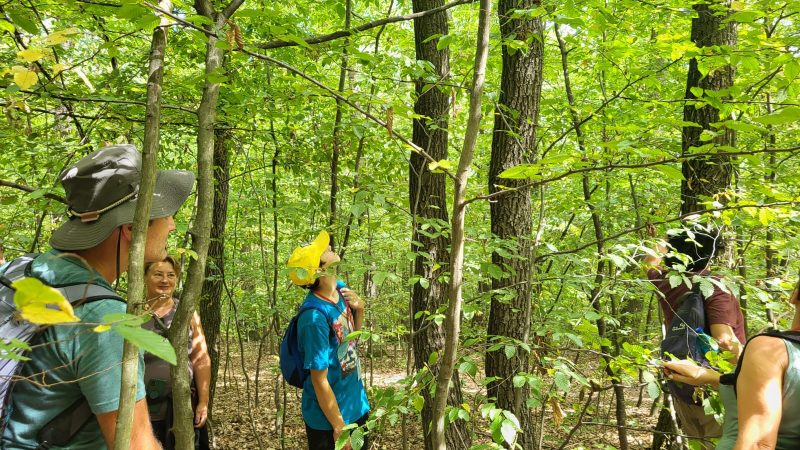 În Geoparcul Țara Hațegului, pasionați de geocaching din țară și din străinătate au avut parte de distracție, aventură și multe provocări la cel mai important eveniment anual
