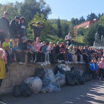 Voluntariatul – cheia succesului în județul Hunedoara pentru programul „Let`s do it, România!”